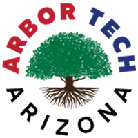 Arbortechaz